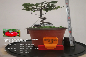 mmexport1728816055868_副本.jpg
