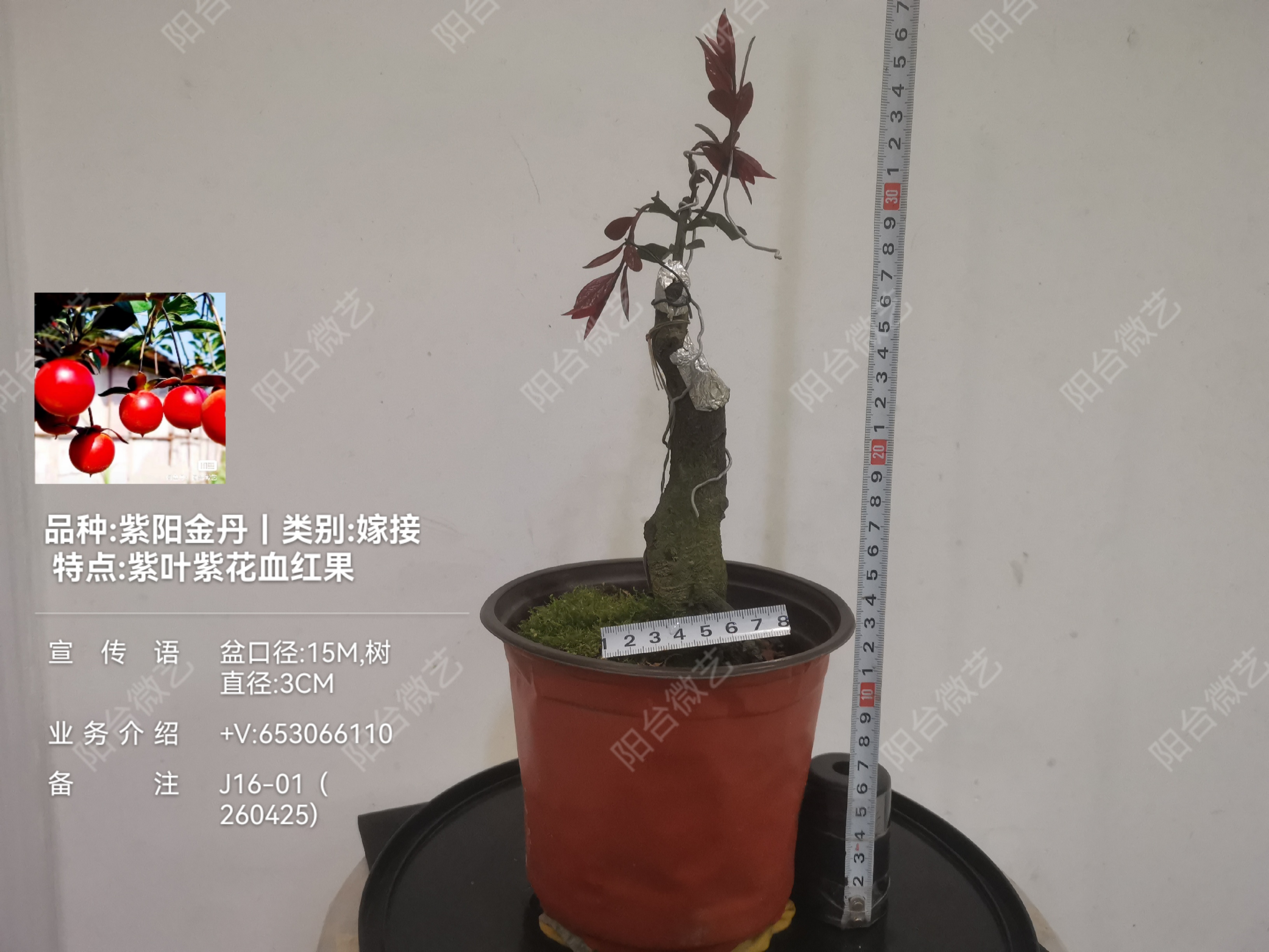 D2699B608ADB606077B35C619AD528DF.jpg