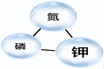 QQ20250429-162836_副本.png