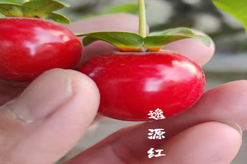 微信图片_20250522112550_副本.jpg