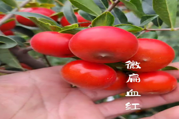 微信图片_20250522113537_副本.jpg