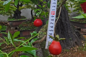 QQ20250522-114441_副本.png