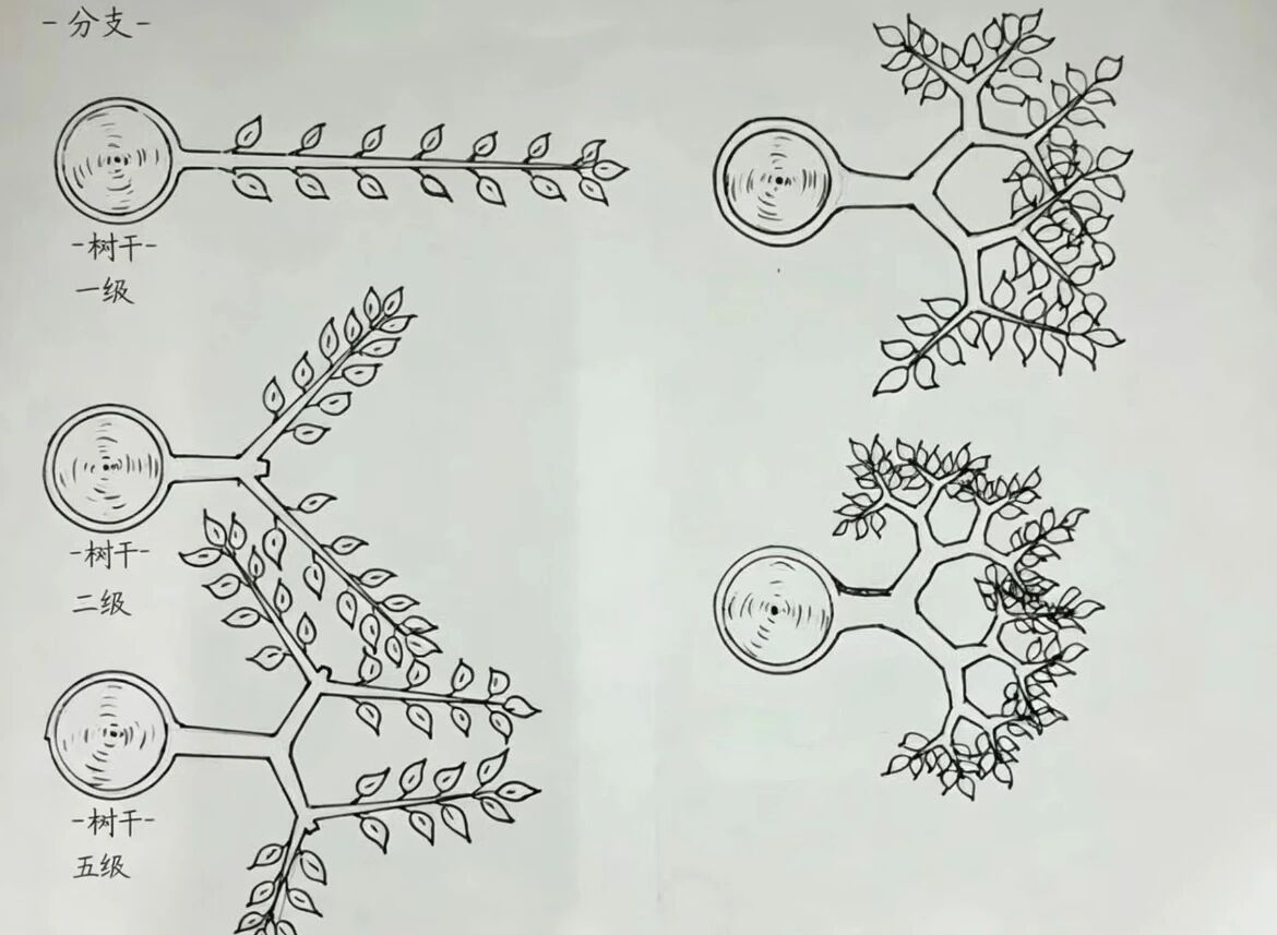 杂木年功盆景，侧枝分解图